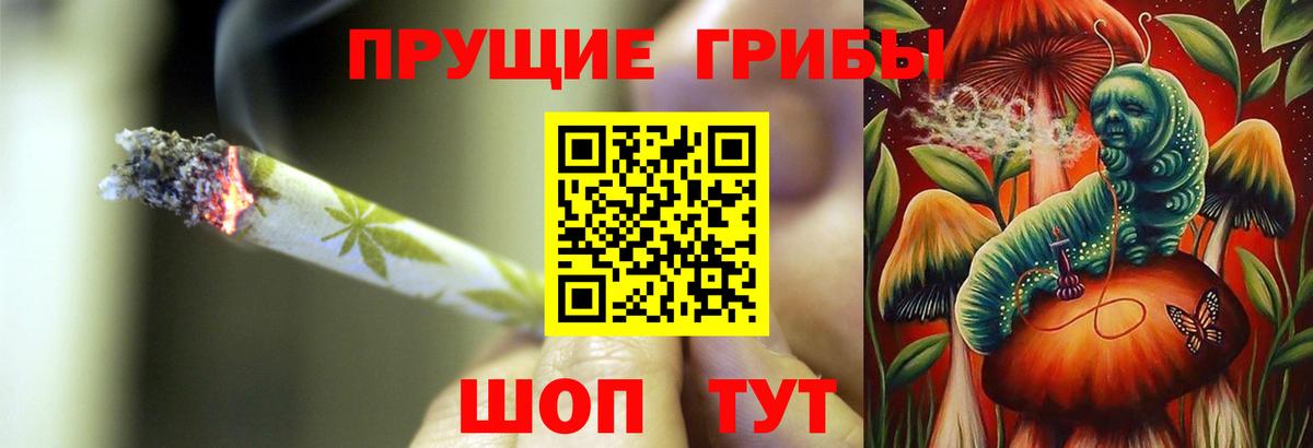 Хасавюрт  Псилоцибиновые грибы Cubensis  Вход с VPN 